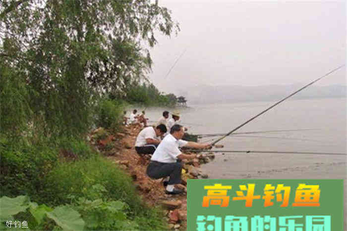 秋钓鲫鱼，饵料配方不求人，这里都有