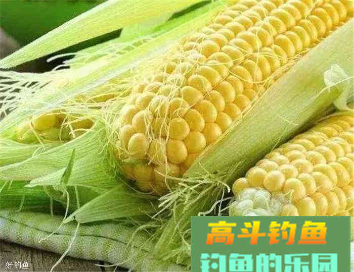 用"素饵之王"玉米竟然没效果？这里有几个小技巧送你