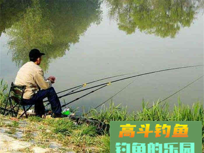 自制打窝药酒配方，深秋使用不愁诱不到鱼