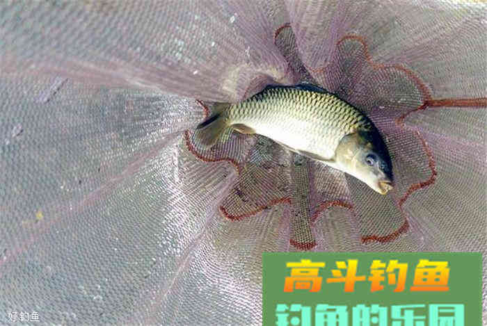 这款饵料配方既能控制成本，又能上大物哦