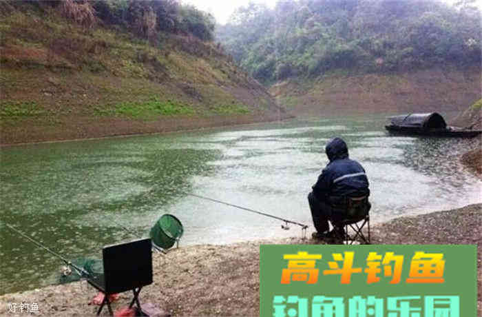 秋钓鲫鱼，饵料配方不求人，这里都有