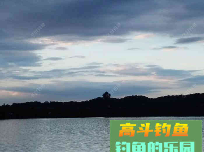 自制糖浆水钓大板鲫分享众钓友