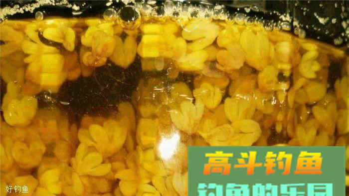 钓友们总结出来的10款鲫鱼专用饵料，总有一款适合你