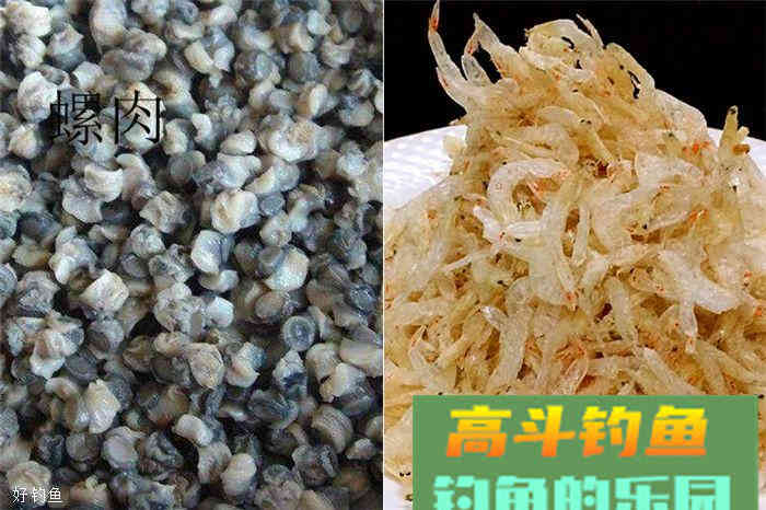 不局限于商品饵，这有一款饵料配方，鲫鱼鲤鱼都有效