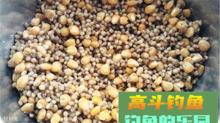 秋季钓大鲤鱼饵料、窝料配方，赶紧拿去上鱼