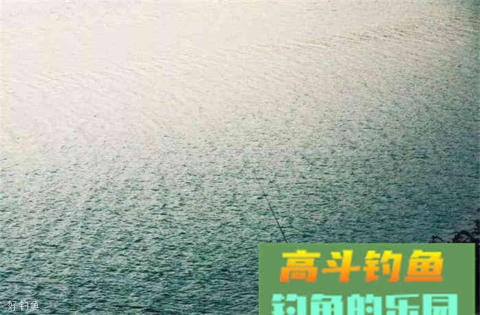 一款酒米的选料和制作全过程分享