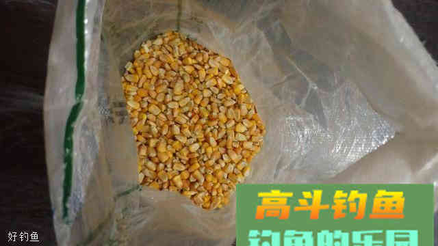 分享一款自制老玉米诱鱼窝料