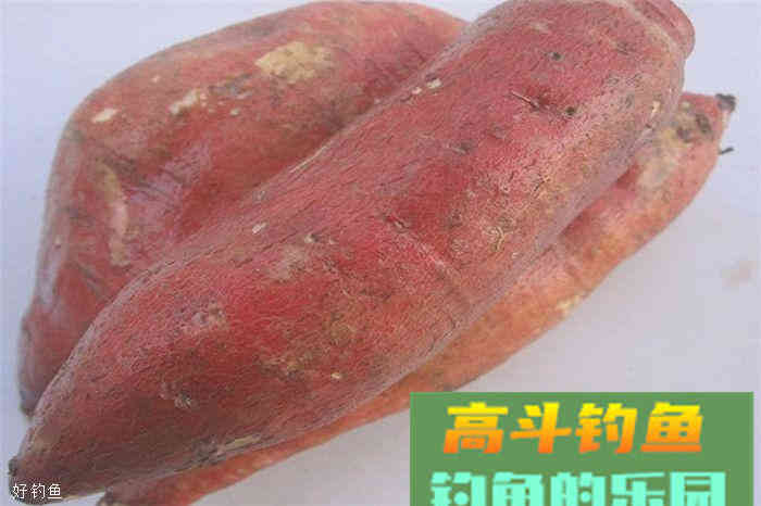 黑坑钓鲤鱼饵料配方，拒绝加入空军营