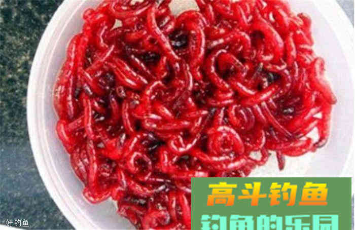 秋季上鲫鱼怎么自制饵料？这一款成本不高，效果不差