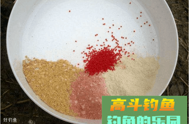冬季三款饵料钓鲤鱼，轻松爆护