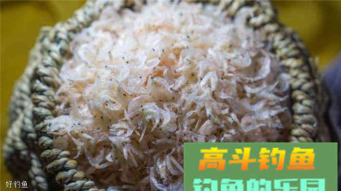 钓友们总结出来的10款鲫鱼专用饵料，总有一款适合你
