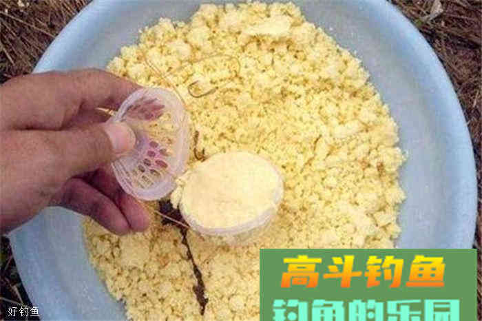 分享秋季钓鲢鳙的六款饵料配方，赶紧学了去上鱼吧