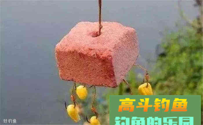用"素饵之王"玉米竟然没效果？这里有几个小技巧送你