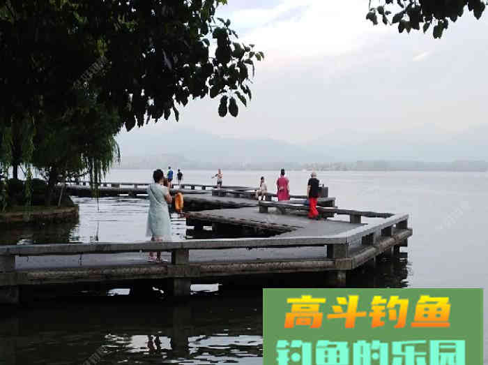 自制糖浆水钓大板鲫分享众钓友