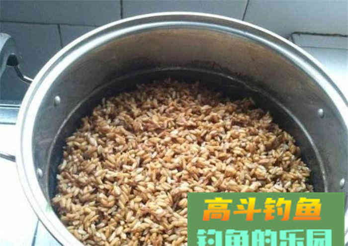 稻谷类钓鱼饵料的制作方法小汇总