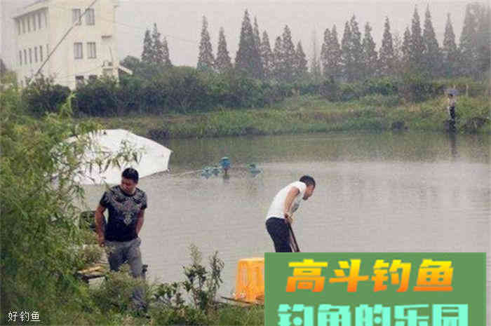 深秋钓鲫鱼饵料配方，赶紧拿走去上鱼吧