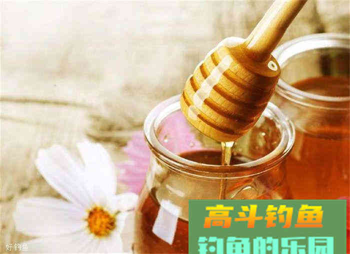 说一说我了解到的国外钓鱼饵料配方