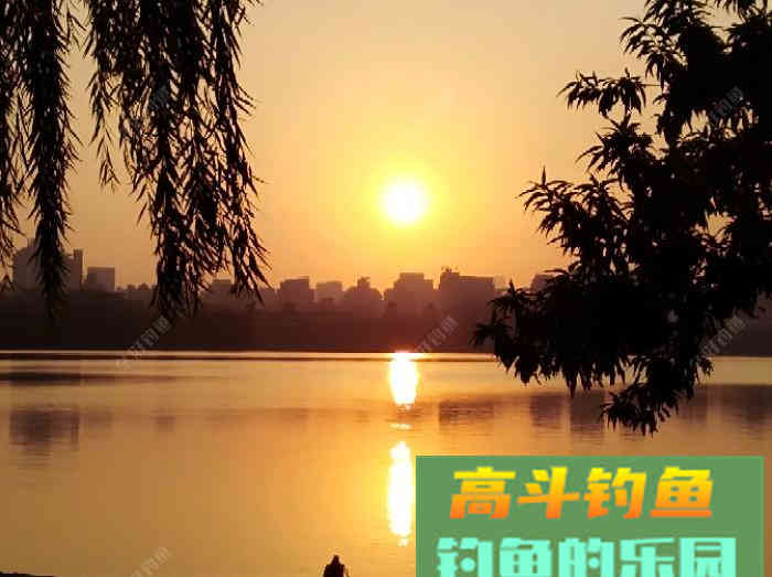 自制糖浆水钓大板鲫分享众钓友