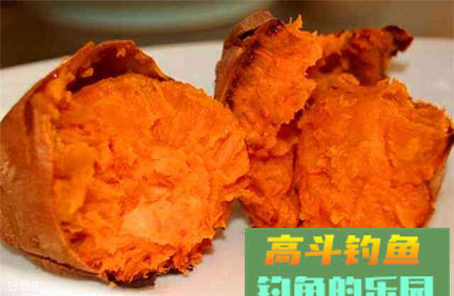 分享一款红薯自制饵料，水库通用