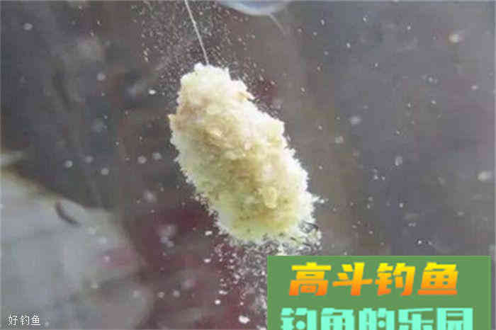 分享秋季钓鲢鳙的六款饵料配方，赶紧学了去上鱼吧