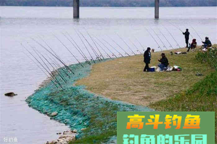这款饵料配方既能控制成本，又能上大物哦
