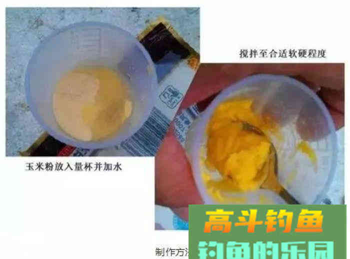 玉米粉饵料分享，简单易学，操作方便