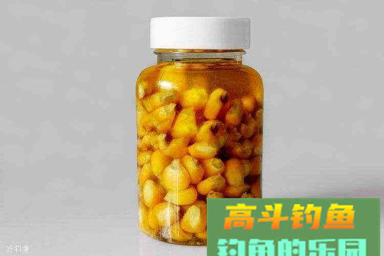 李大毛独门饵料配方，专钓大鱼