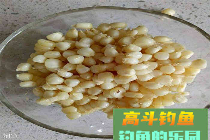 老钓友分享钓草鱼饵料配方，芹菜加玉米