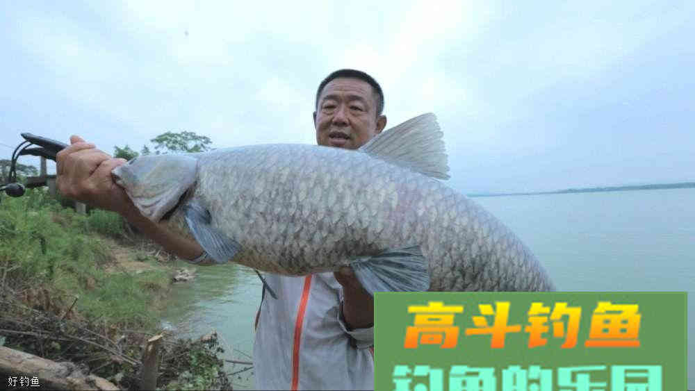 李大毛独门饵料配方，专钓大鱼