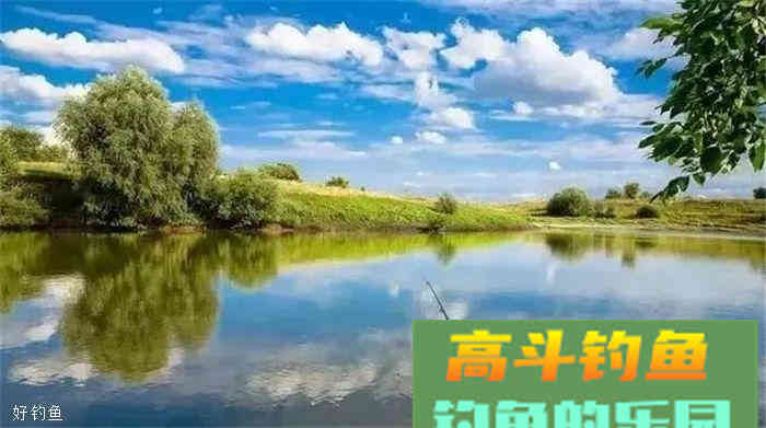 秋钓鲤鱼这几招，不怕空军！附带野钓鲤鱼自制饵料配方
