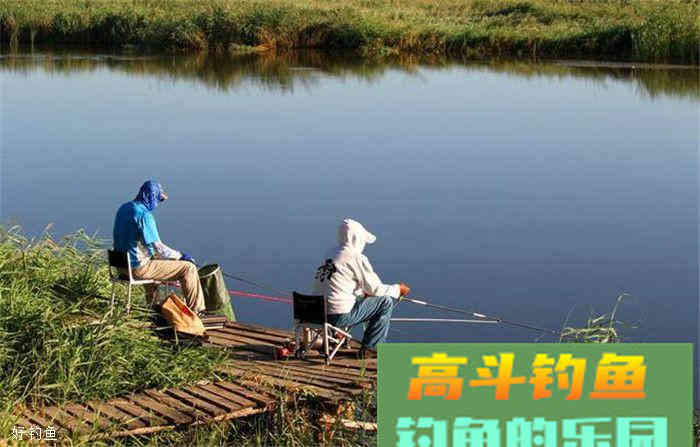 自制打窝药酒配方，深秋使用不愁诱不到鱼