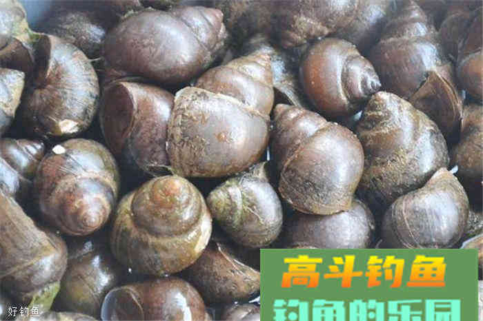 三款钓鱼饵料配方，都是纯天然哦