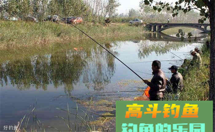 自制打窝药酒配方，深秋使用不愁诱不到鱼