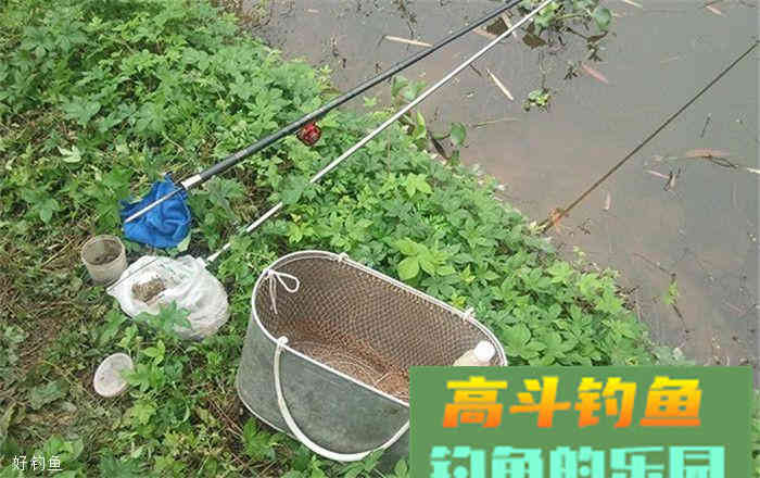 纯天然无污染自制小药，可打窝亦可开饵