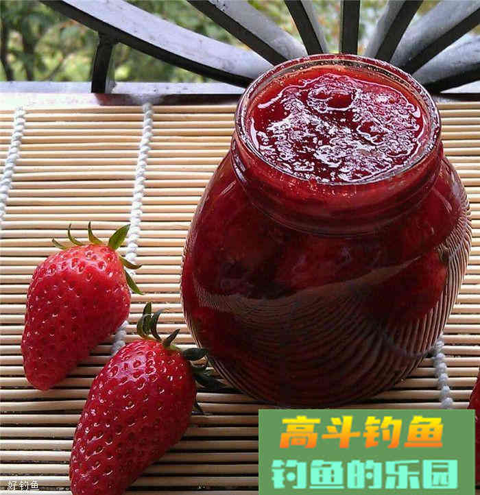 说一说我了解到的国外钓鱼饵料配方