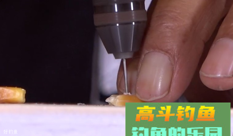 李大毛独门饵料配方，专钓大鱼