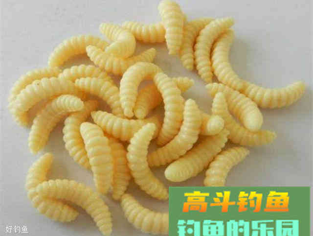 冬季钓草鱼用什么饵料，老钓鱼人分享三个饵料搭配