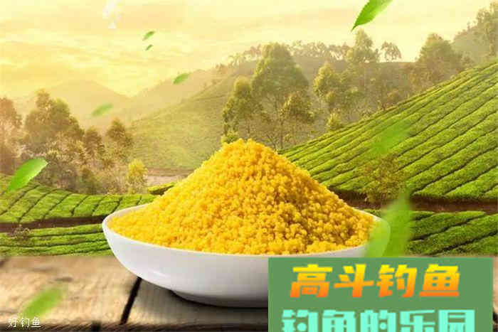 一款酒米的选料和制作全过程分享