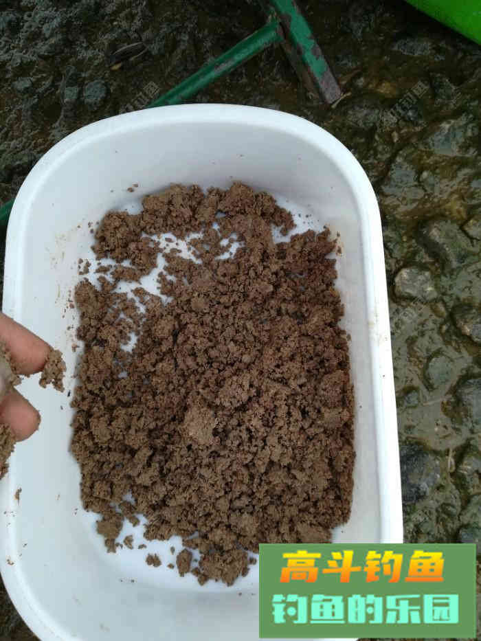 钓罗非鱼用什么饵料，分享一款自制饵料配方
