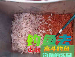 矶钓老手亲授自制诱饵配方和技巧