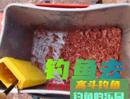 矶钓老手亲授自制诱饵配方和技巧