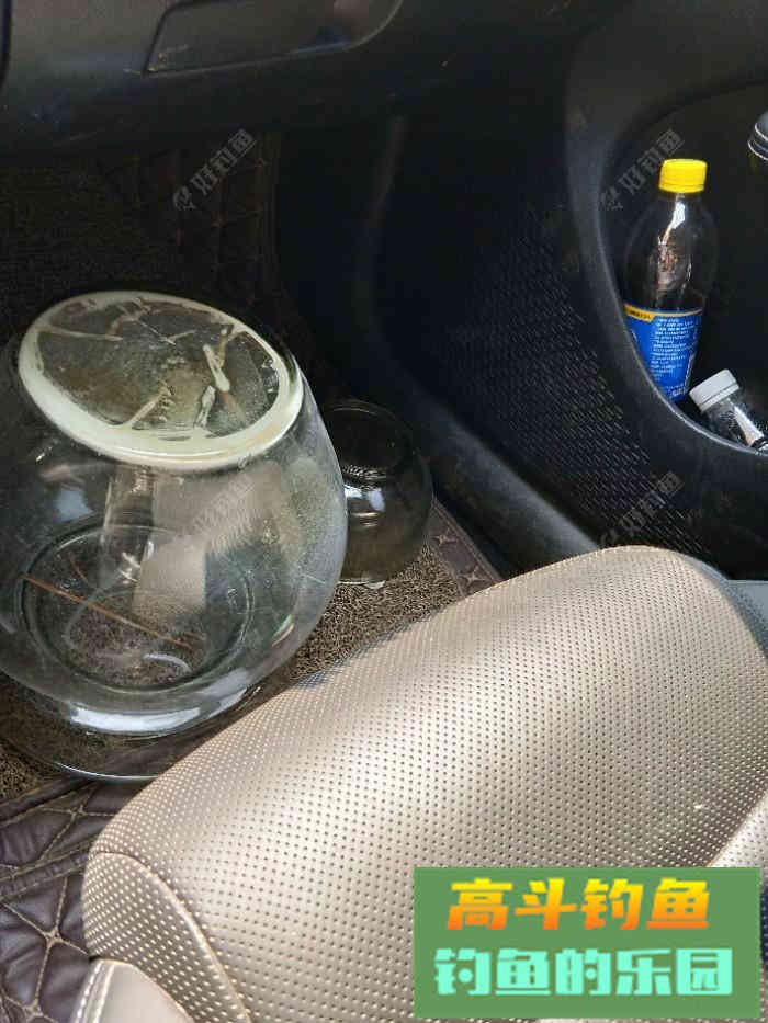 自制玉米打窝料，师傅教导好钓鱼