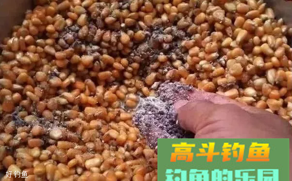 俗称钓鱼饵料“便宜货”，但效果无法替代
