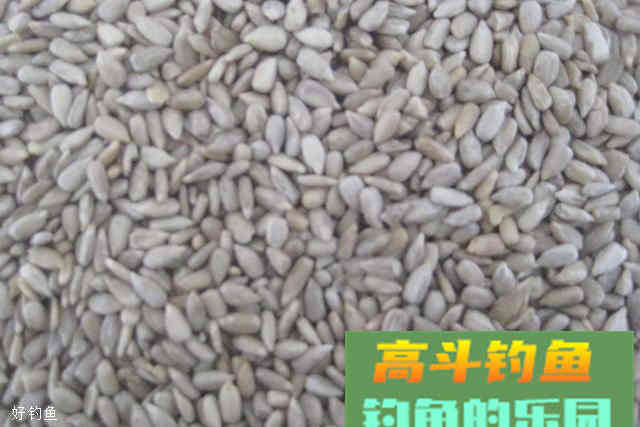 自制黑坑鱼饵，快速拿鱼上岸