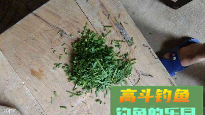 自制韭菜玉米饵，钓鱼人就是闲不住