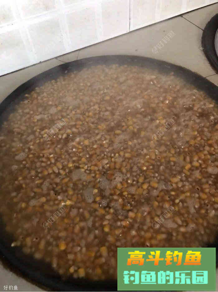 自制诱窝玉米，是爆护的节奏