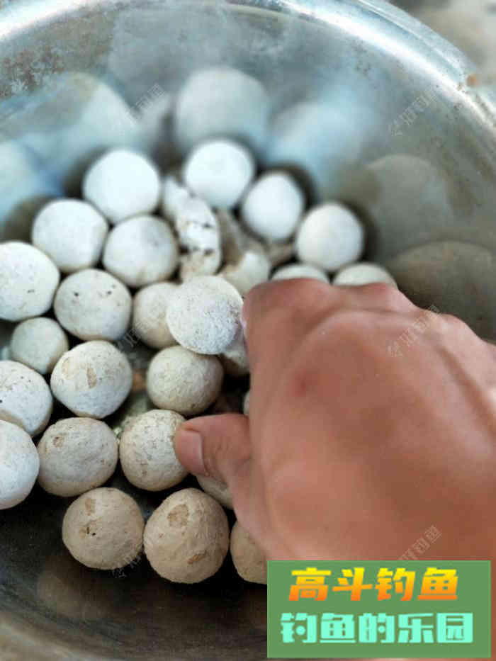 自制玉米打窝料，师傅教导好钓鱼