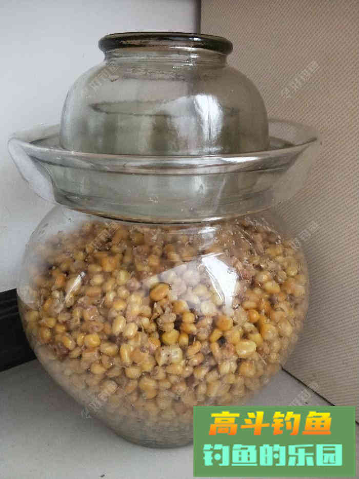 自制玉米打窝料，师傅教导好钓鱼