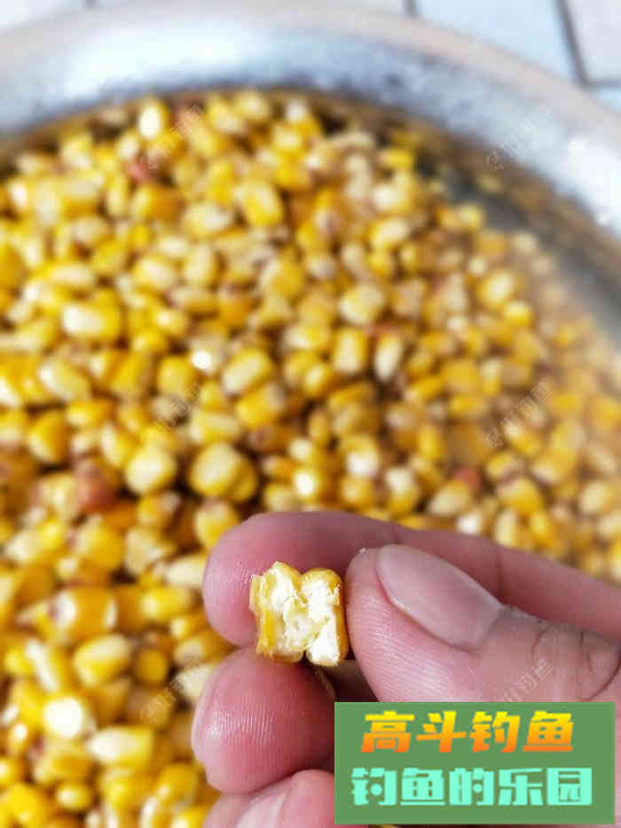 自制玉米打窝料，师傅教导好钓鱼