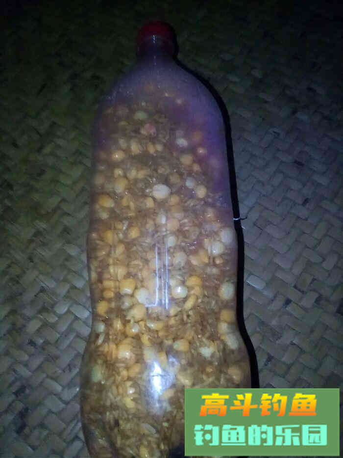 老司机自制稻谷打窝料，诱鱼快
